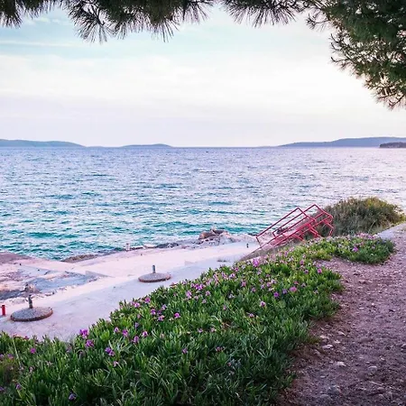 شقة Brane تروغير